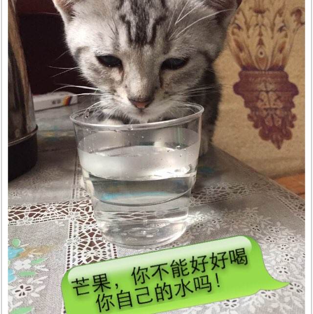 台湾台湾观光学院成绩单办理